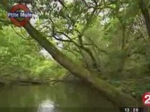 Balade sur le courant d'Huchet