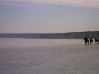 galop sur la plage