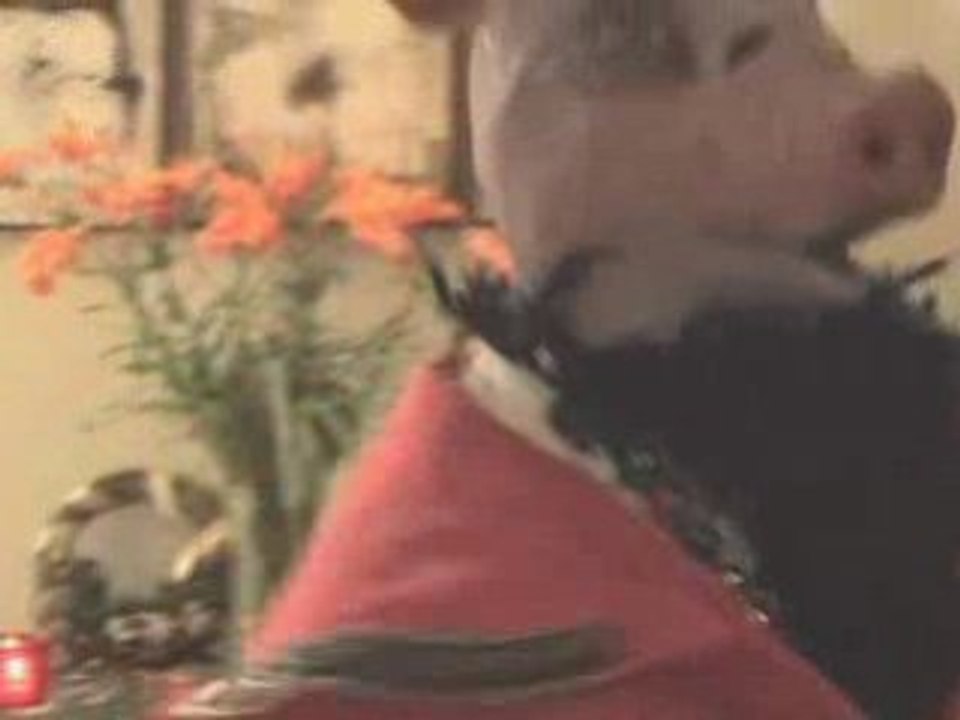 The performance_H264