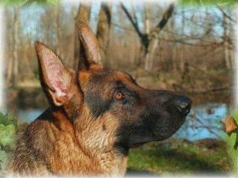 Prends bien soin d'elle