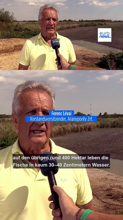 Kampf um Wasser in Ungarn: ausgetrocknete Seen, massives Fischsterben