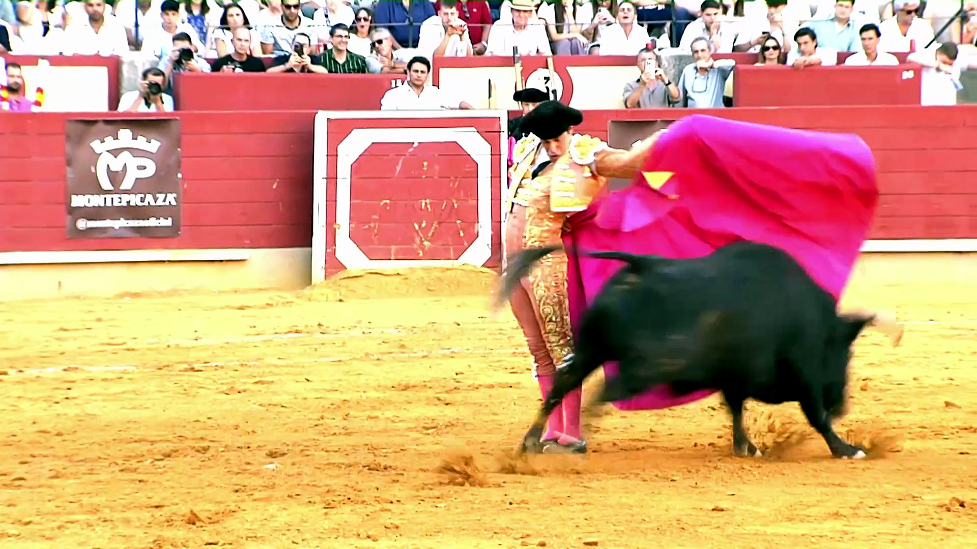 Festejos de verano como Guijuelo, Toro, Astorga, Peñaranda, Málaga, entre otros