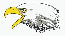 SERDAR ŞİMŞEK KARTAL LOGOSU