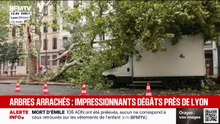 De violents orages ont touché Lyon et sa région