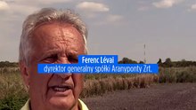 Walka o wodę: wyschnięte stawy, masowy pomór ryb w jednym z największych węgierskich stawów rybnych