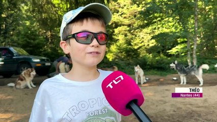 Au col de la Loge, les chiens de tra&icirc;neau se d&eacute;couvrent aussi en &eacute;t&eacute;