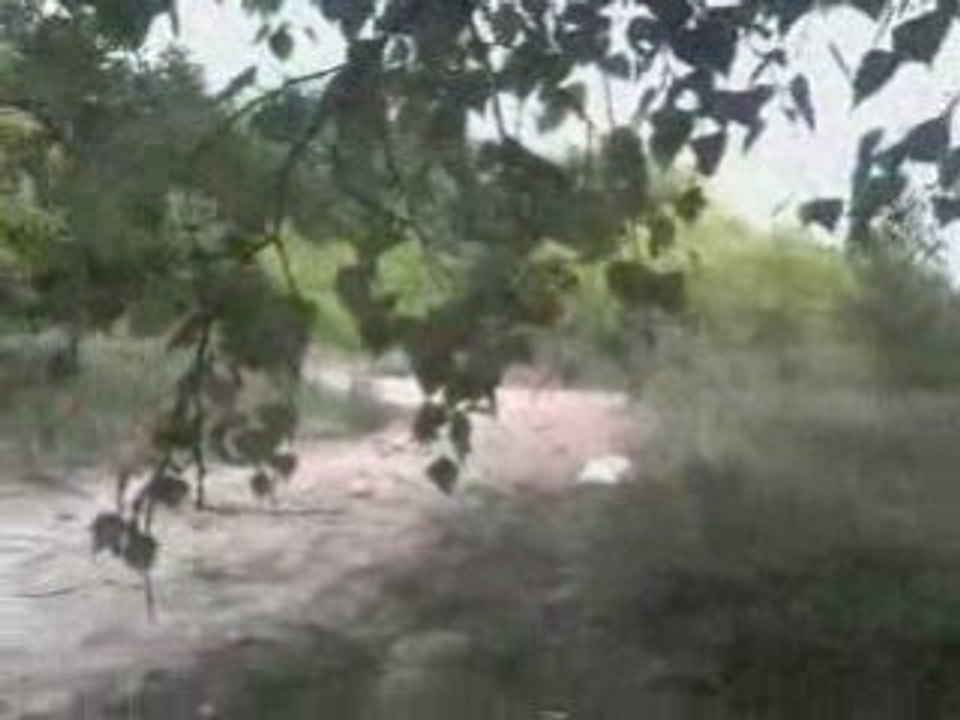 Session paint entre TäRés