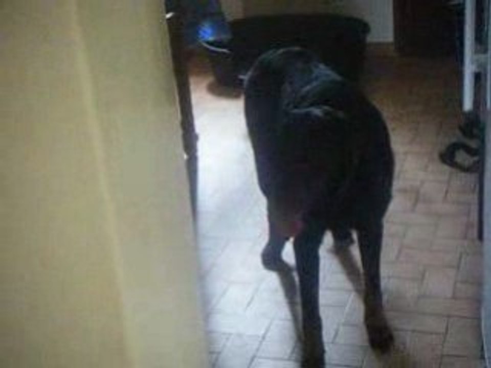 DSCF0003