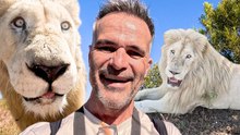 LION PRIDE Have FUN in the Sun with Kevin Richardson! | The Lion Whisperer