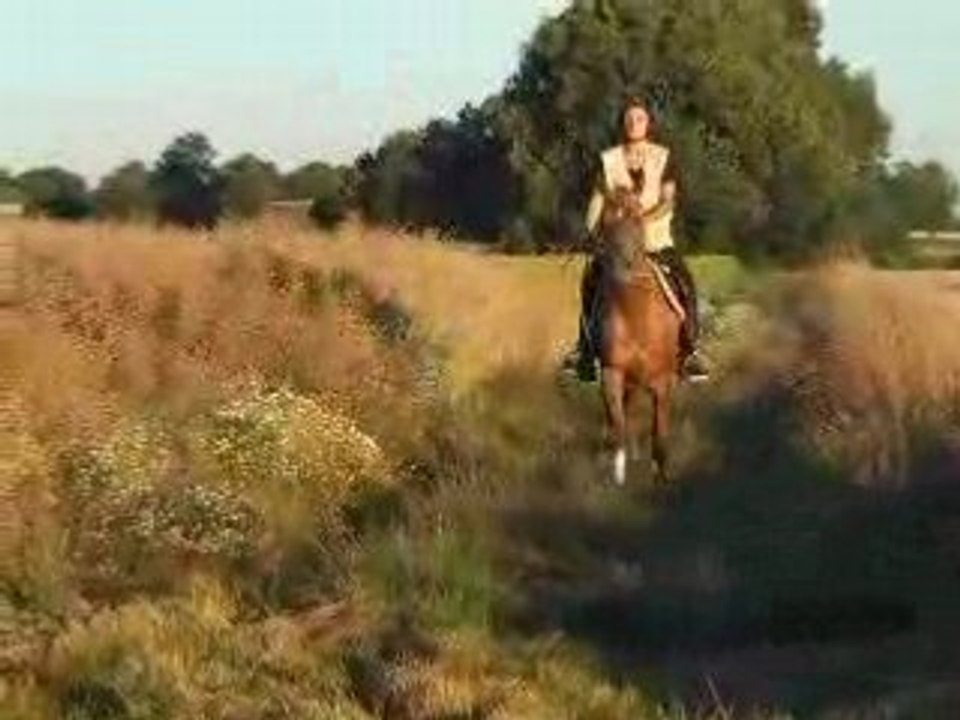 Video ballade celtik 007