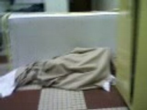 Réveille 2 Zamora.... Par Alex