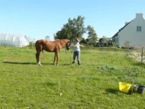 Seigneur : salut de la reine !