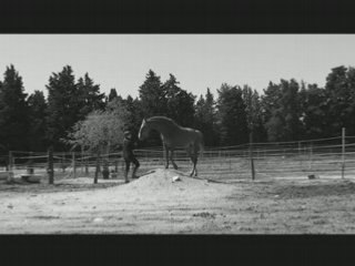 La Fièvre du Cheval
