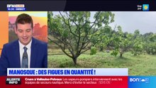 Le journal de 18h du vendredi 28 août 2026