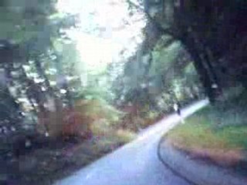 Test Camera 22072008