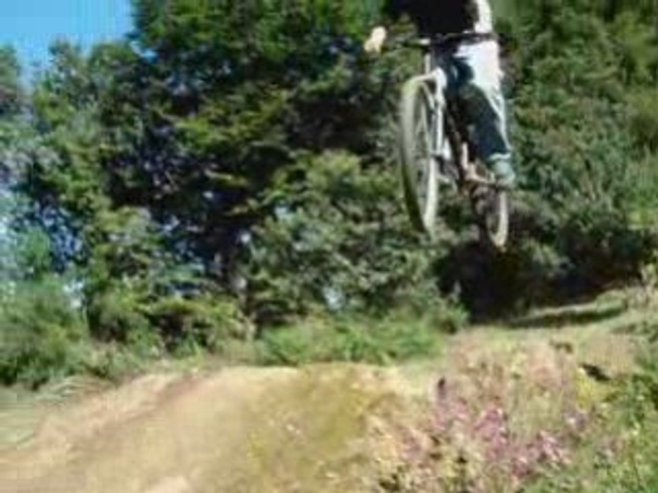Lapinodrome version 2008