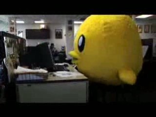 Welcome to peta2―Missing E-Mail