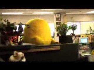 Welcome to peta2―Too Big …