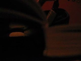 Les oiseaux de passages