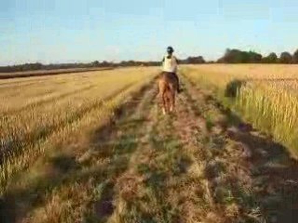 Video ballade celtik 009