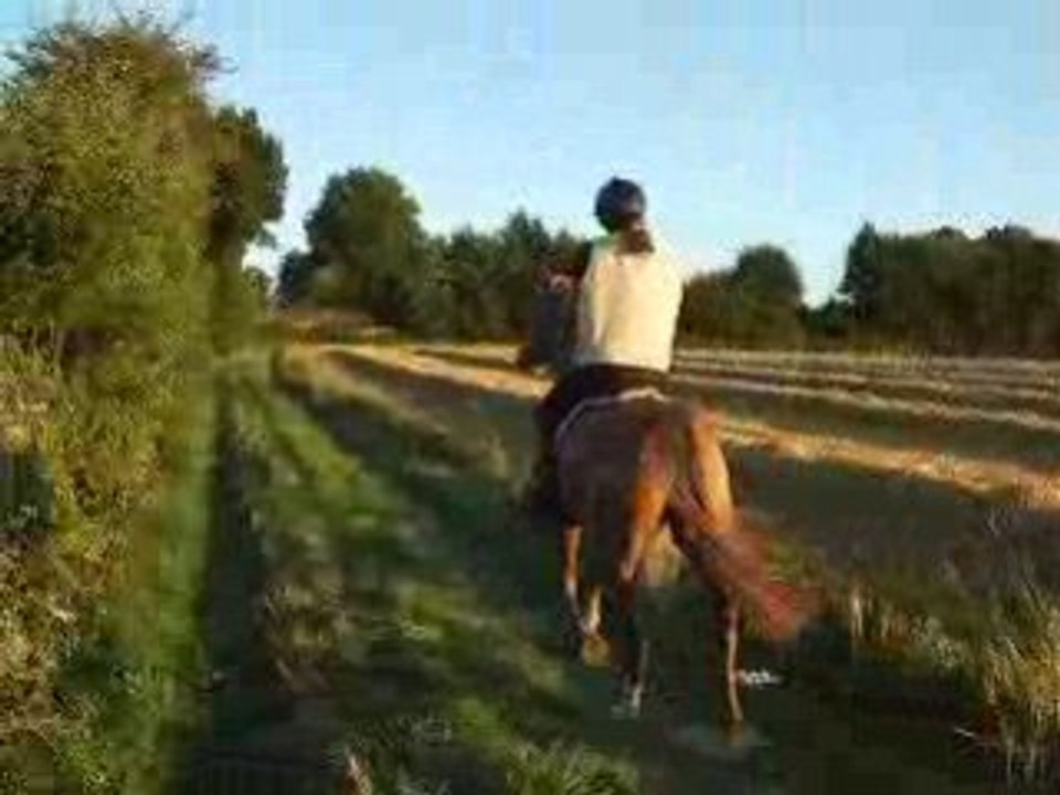 Video ballade celtik 015