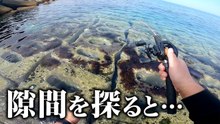 【穴釣り】重量級の大物が釣れた隙間を探ってみると…