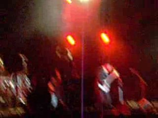 Babyshambles ( vieilles charrues 2008 )