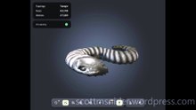 Giant Leech: AI Model Video #1 (08-29-2026)