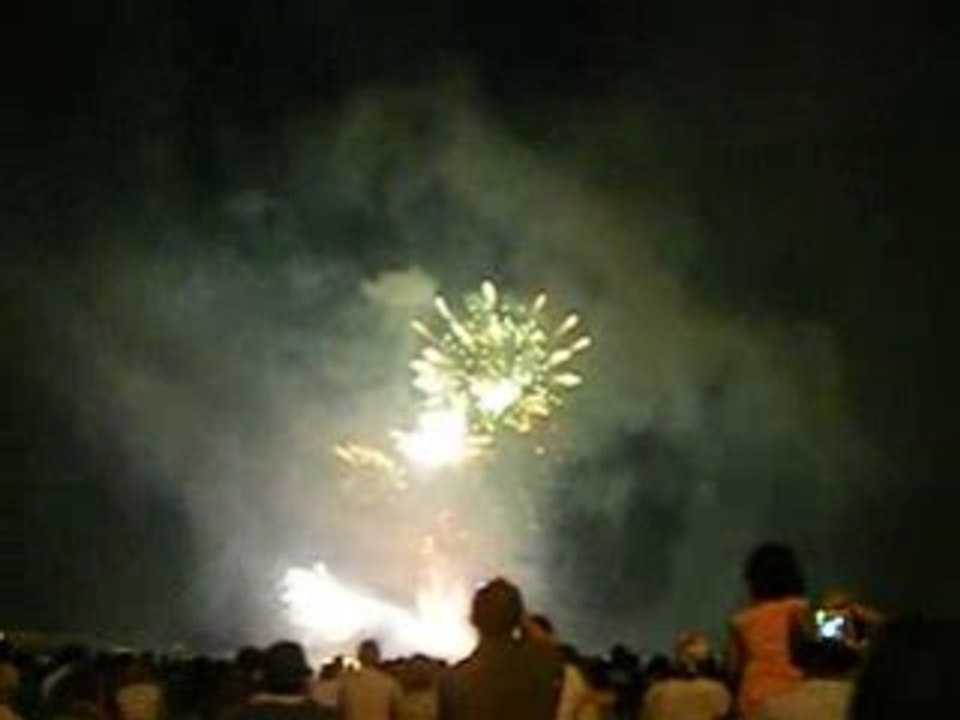 21 juillet 2008, feu d'artifice, Cannes (5)