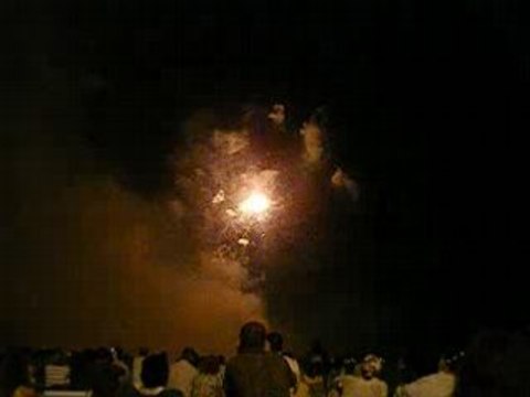 21 juillet 2008, feu d'artifice, Cannes (8)