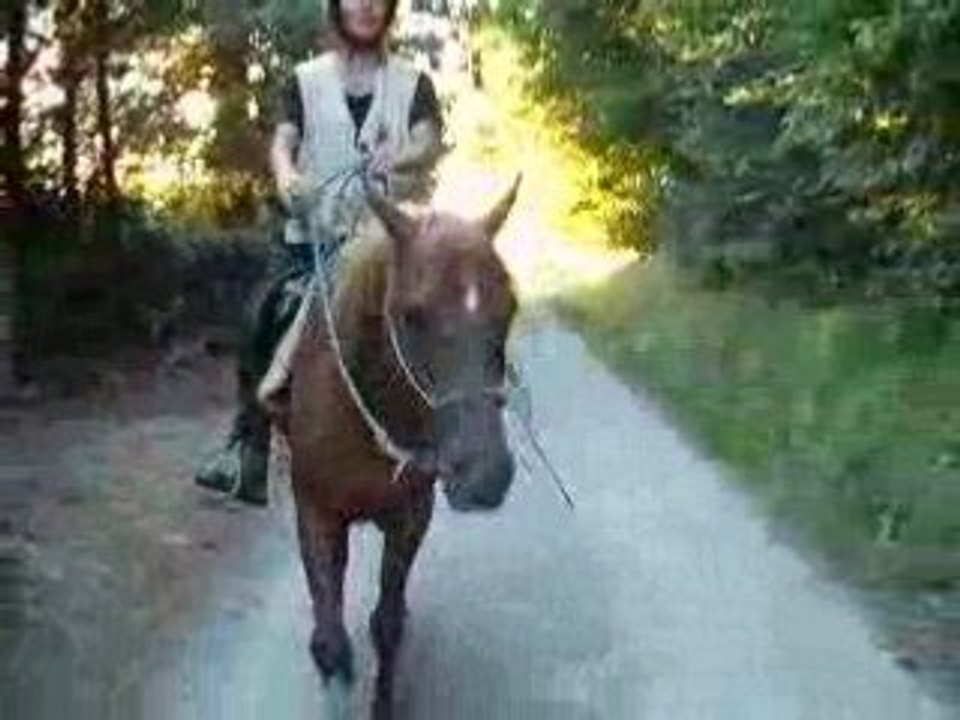 Video ballade celtik 022