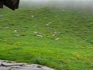 Discussion Passionée