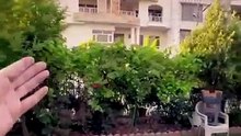خانوو بۆ فرۆشتن لە ٣٢ پارک