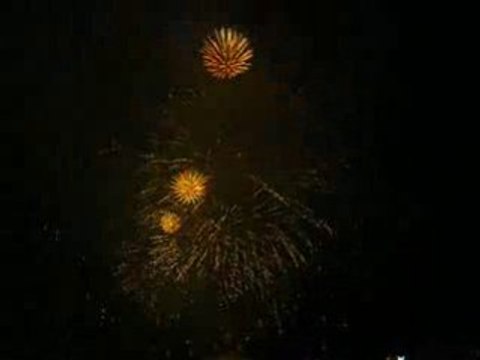 21 juillet 2008, feu d'artifice, Cannes (11)