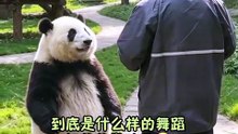 Huahua's Dance Universe｜花花的舞蹈宇宙（25）