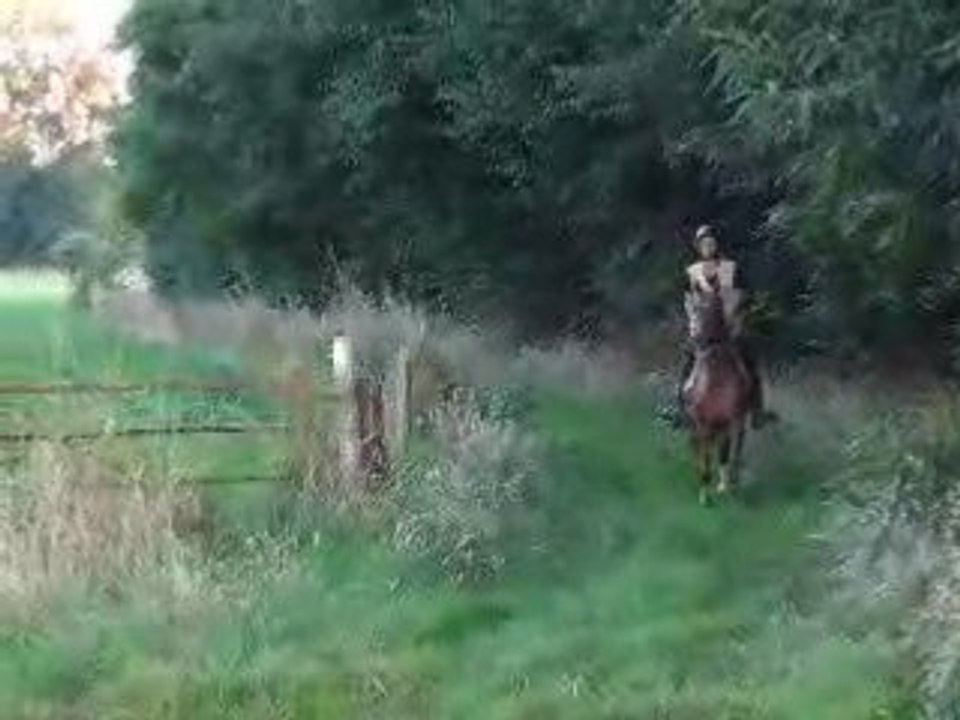 Video ballade celtik 026