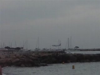 Oiseau et avion Cros de Cagnes juillet 2008