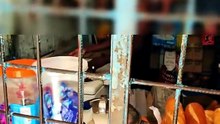 Boycott présumé des produits sénégalais : la Fédération nationale des boutiquiers porte plainte contre l'activiste "Keylor 1004"