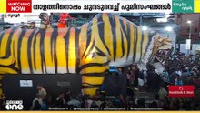 'പുലി വന്നേ... പുലി വന്നേ...'; താളത്തിനൊപ്പം ചുവടുവെച്ച് പുലിസംഘങ്ങൾ