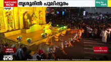 തൃശൂരിൽ പുലിപ്പൂരം; ആവേശം ഇരട്ടിയാക്കി വർണവിസ്മയ ടാബ്ലോകൾ