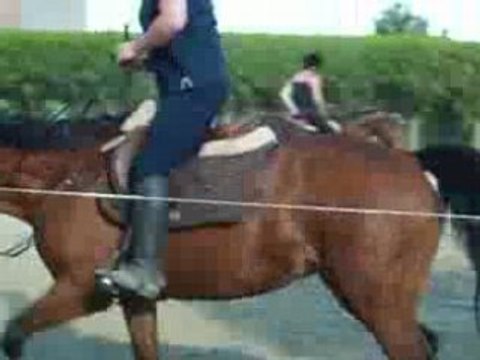12 mai 2008 orgette sur le mur 003