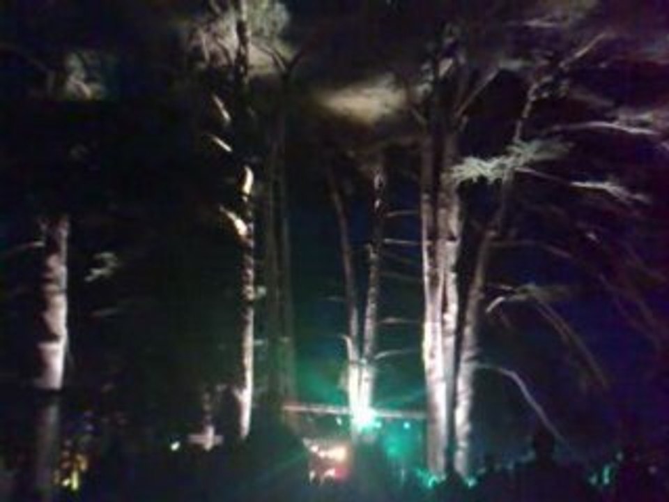 Tribal Dance Airvault 2008