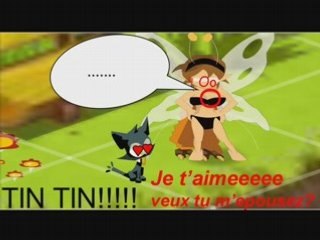 Dofus: le chacha et l'eni <=D