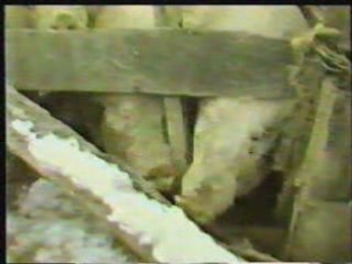 Gravely tractors Hog Wild sale