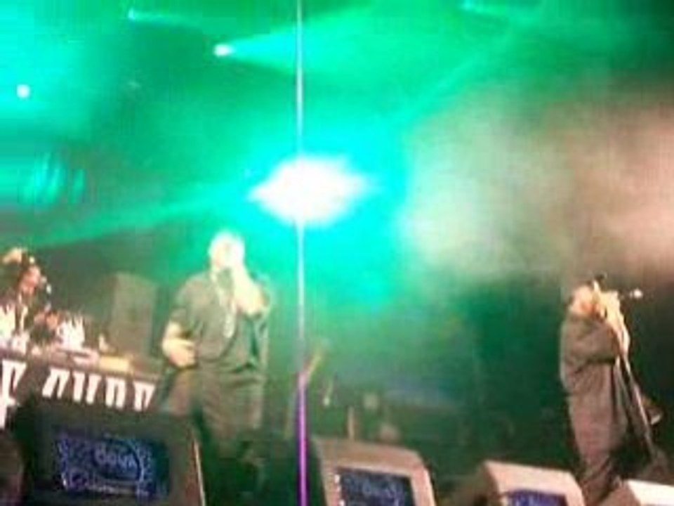 Ice Cube - Live @ Dour 08 (3)