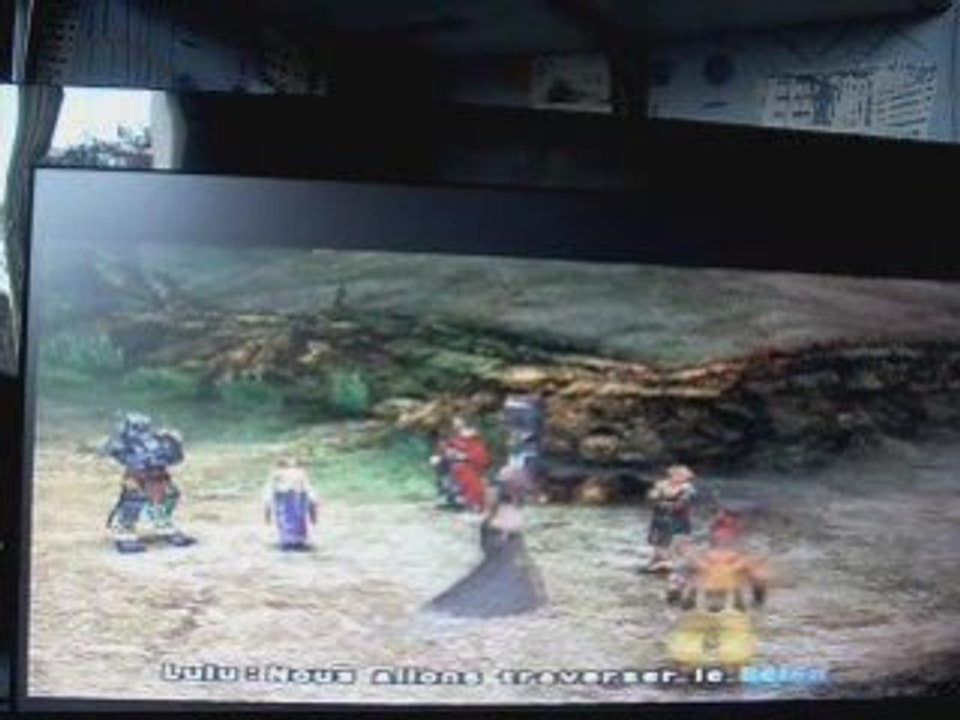 FFX Walktrough - Partie 31 , Les Ochus !