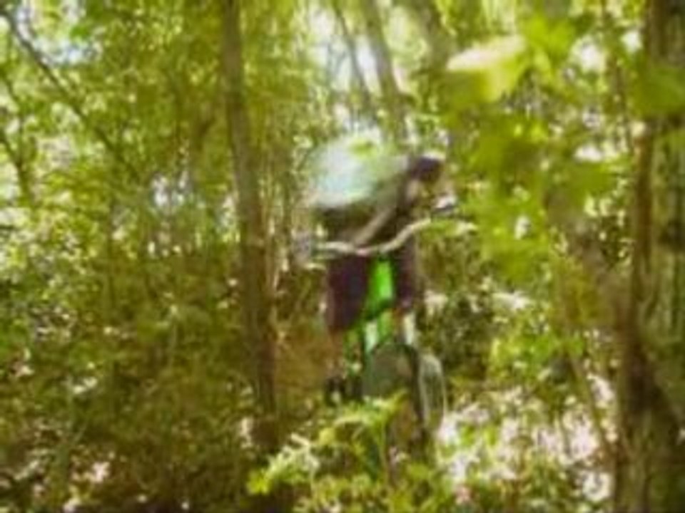 Forest session_1995