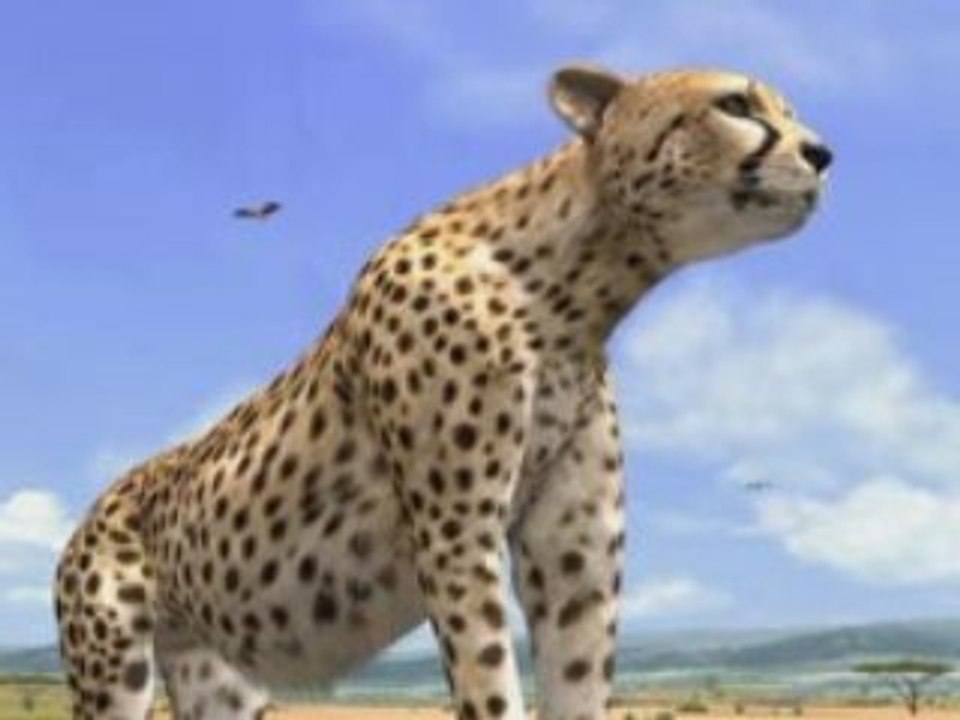 Afrika Trailer