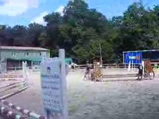 Gamine et moi "concour 29 juin"