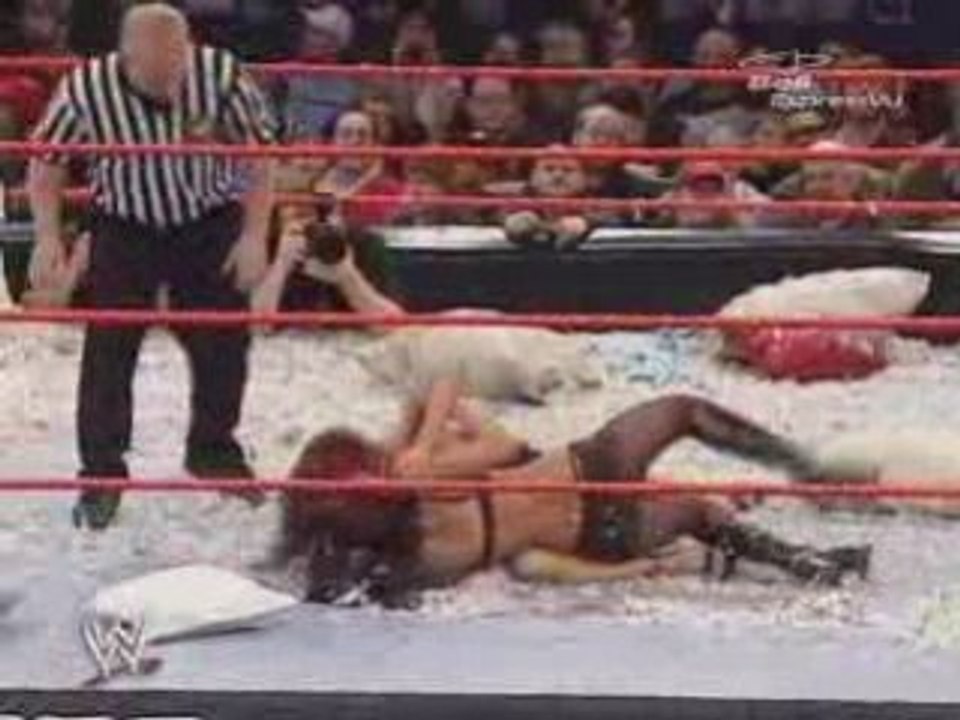 Wwe taboo tuesday 04 divas 2